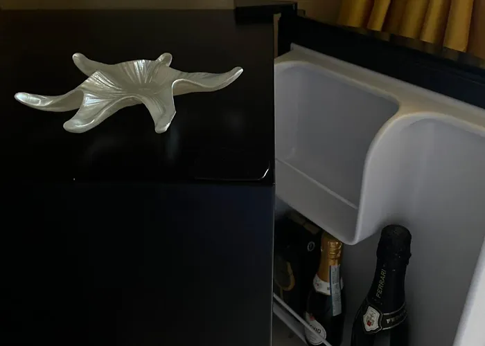 住宿加早餐酒店 Queen's Luxurious House 加利波利